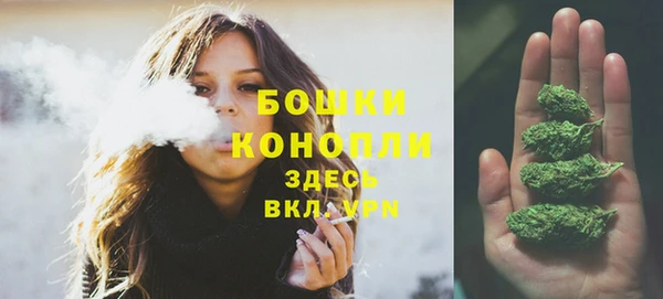 PSILOCYBIN Медвежьегорск