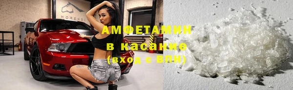 PSILOCYBIN Медвежьегорск