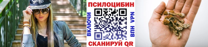 Псилоцибиновые грибы Cubensis  Зарайск 